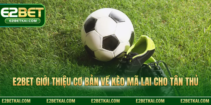 E2BET giới thiệu cơ bản về kèo mã lai cho tân thủ